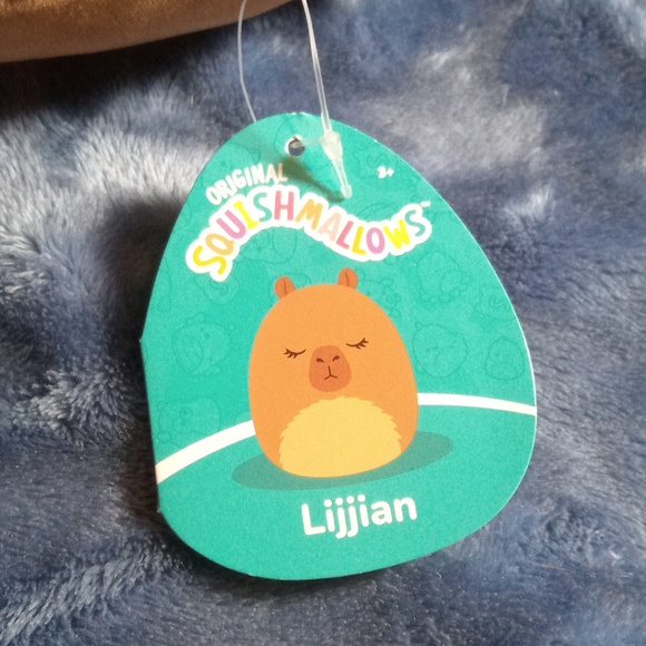 "Lijjian" Capybara Squishmallow - Picture 4 of 5